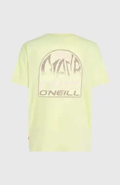 Back Graphic T-shirt | Lime Wash