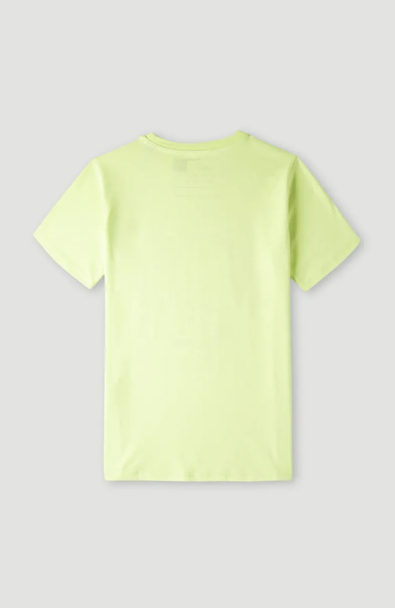 Blend T-shirt | Sunny Lime