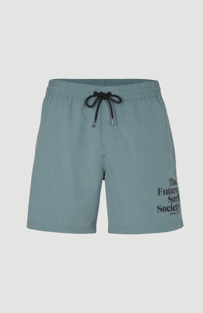 Cali FSS 16'' Zwemshort | North Atlantic