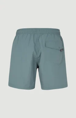 Cali FSS 16'' Zwemshort | North Atlantic