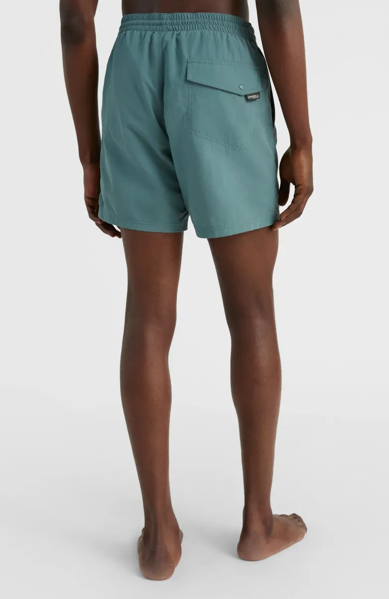 Cali FSS 16'' Zwemshort | North Atlantic