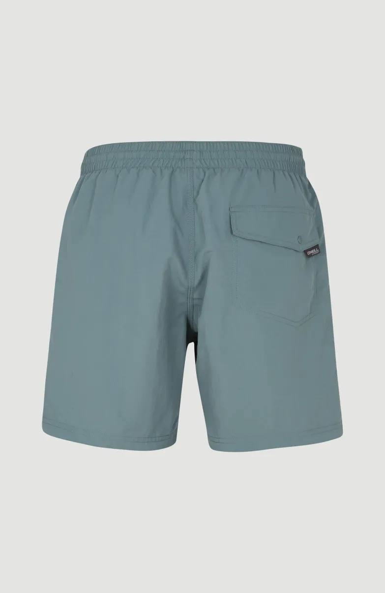 Cali FSS 16'' Zwemshort | North Atlantic