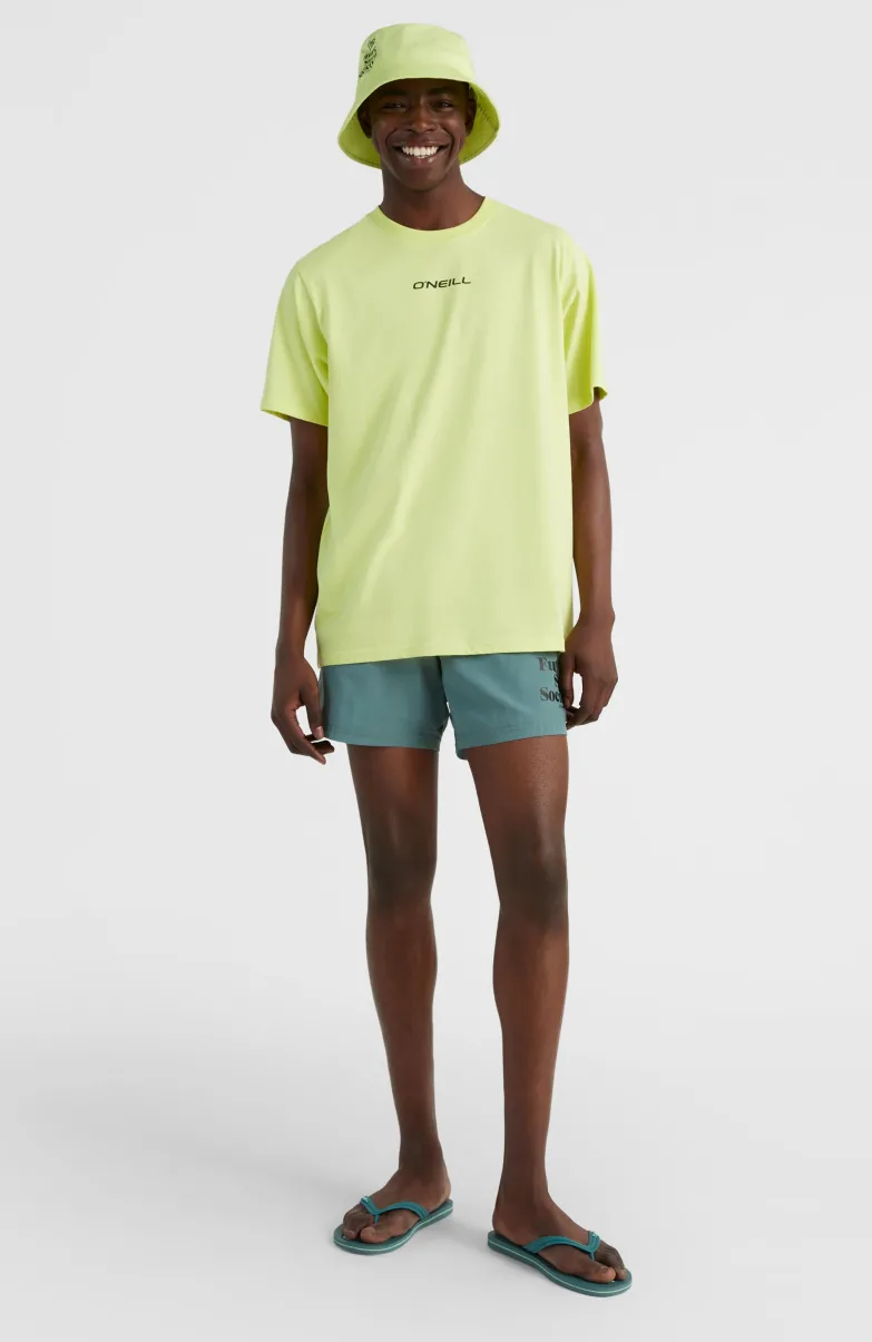 Cali FSS 16'' Zwemshort | North Atlantic