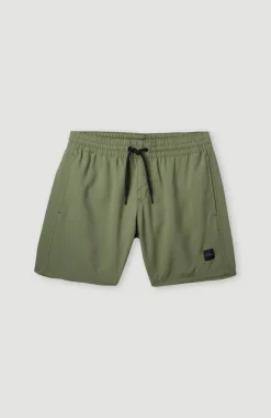 Cali Hybrid 13" Zwemshort | Deep Lichen Green