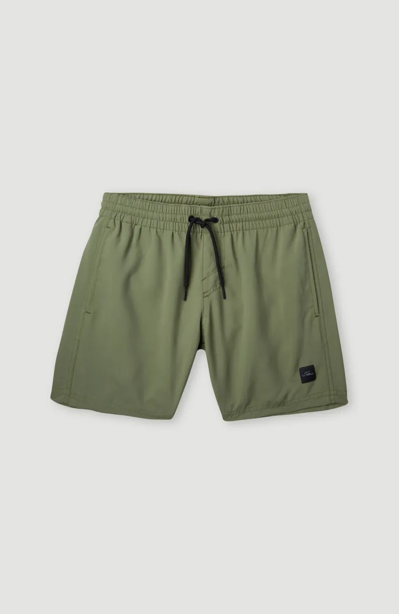 Cali Hybrid 13" Zwemshort | Deep Lichen Green