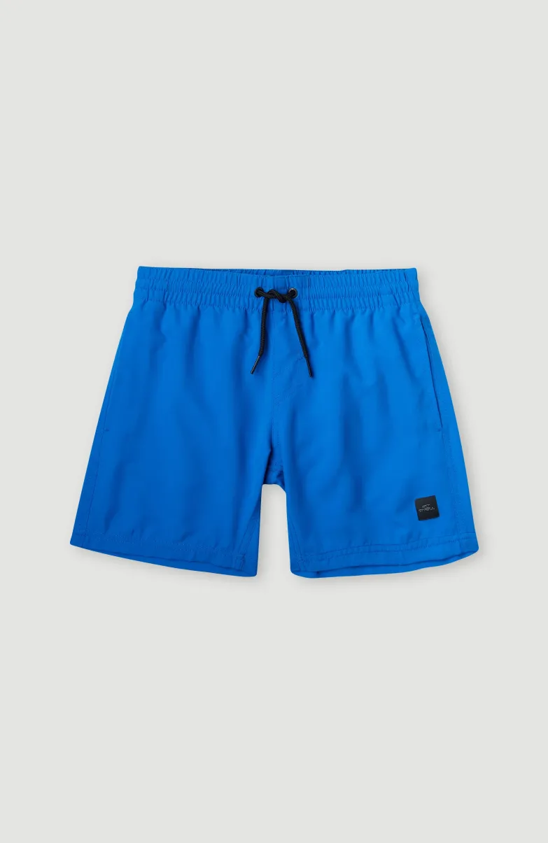 Cali Hybrid 13" Zwemshort | Princess Blue