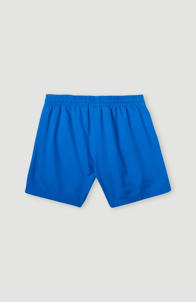 Cali Hybrid 13" Zwemshort | Princess Blue