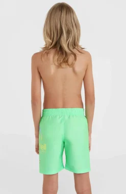 Circle Surfer 14" Zwembroek | Neon Green Circle Surfer Gradient Panel