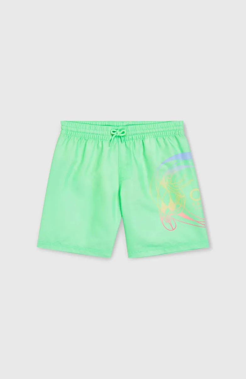 Circle Surfer 14" Zwembroek | Neon Green Circle Surfer Gradient Panel