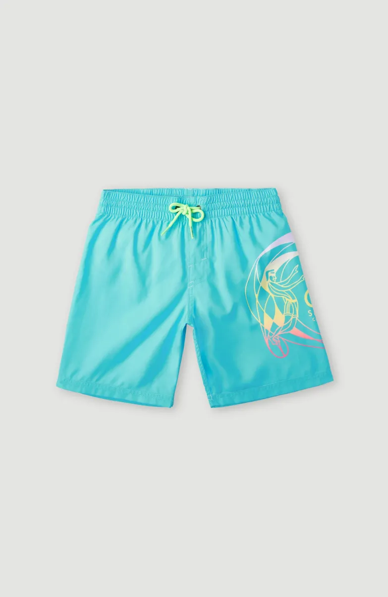 Circle Surfer 14" Zwemshort | Blue Circle Surfer Gradient