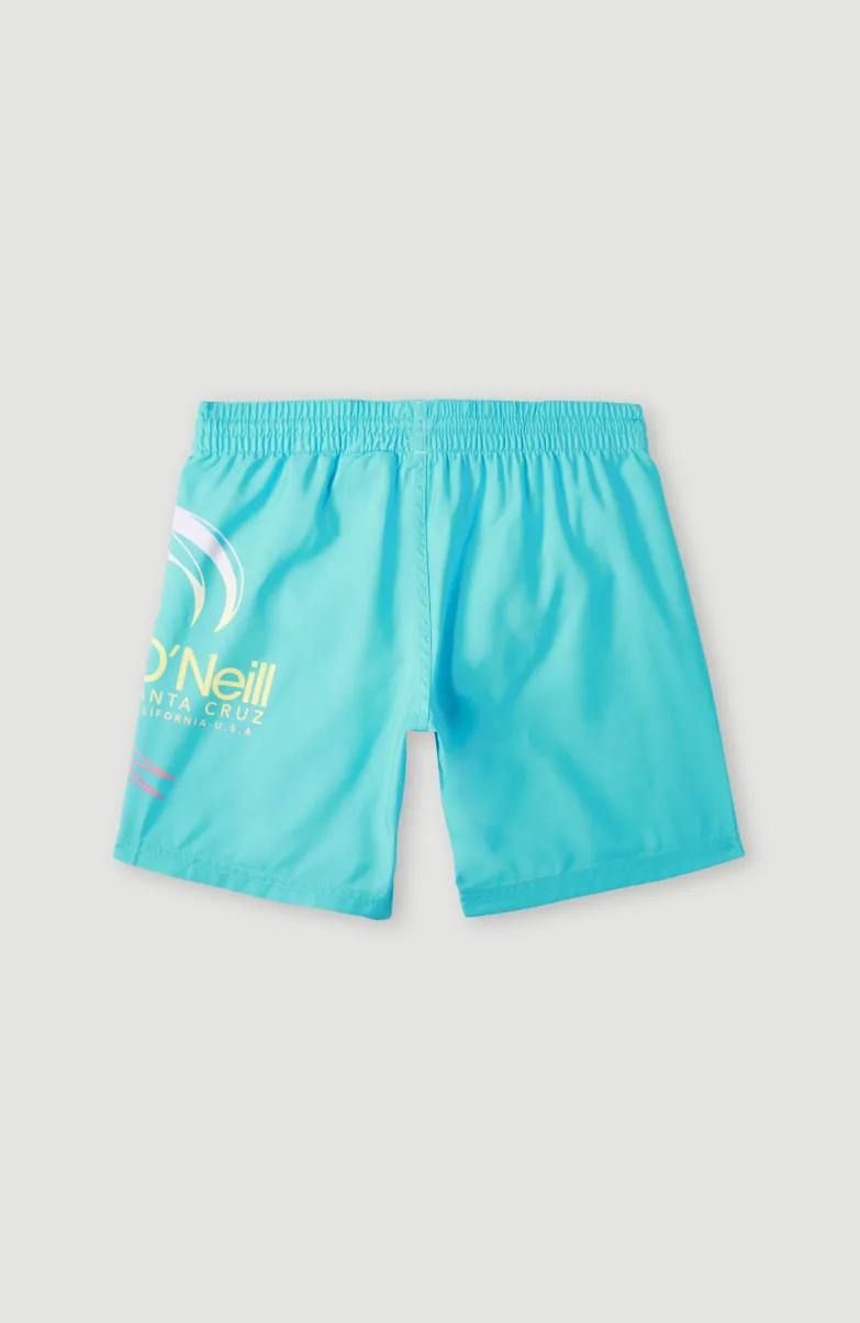 Circle Surfer 14" Zwemshort | Blue Circle Surfer Gradient