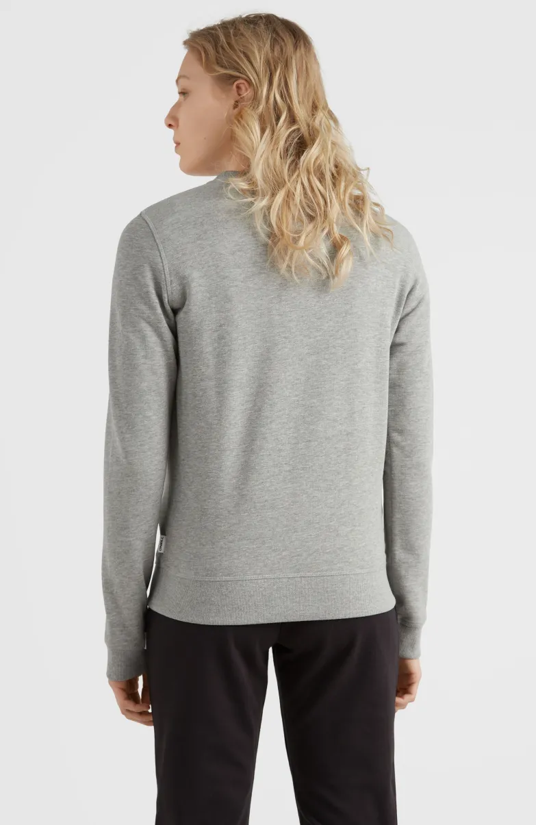 Circle Surfer Crew Sweatshirt | Silver Melee