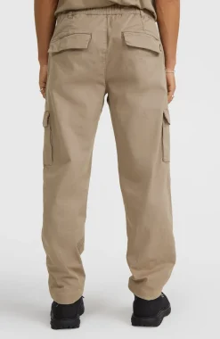 Essentials Cargobroek | Concrete
