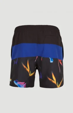 Frame Block Swim Short | Blue Multi 6