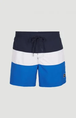 Frame Block Swim Short | Blue Multi 9