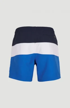 Frame Block Swim Short | Blue Multi 9