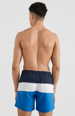 Frame Block Swim Short | Blue Multi 9