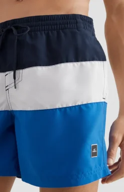 Frame Block Swim Short | Blue Multi 9