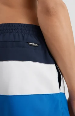 Frame Block Swim Short | Blue Multi 9