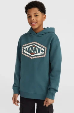 Front Print Hoodie | Alma Steel