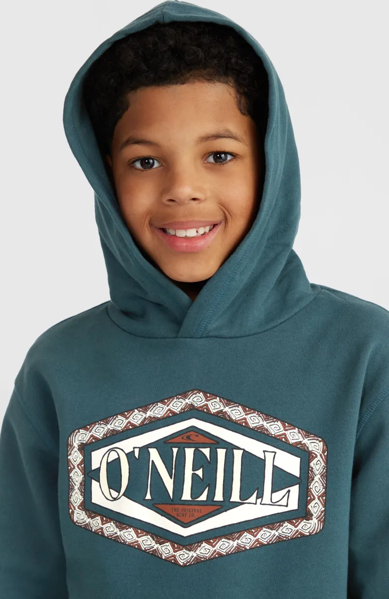 Front Print Hoodie | Alma Steel