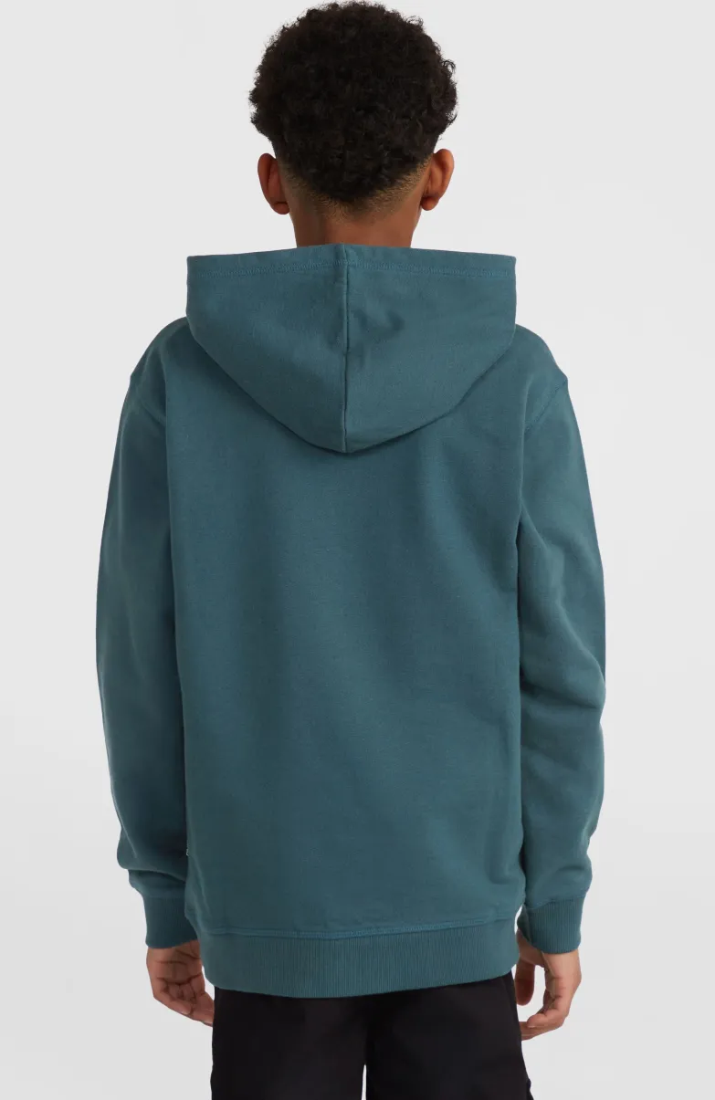 Front Print Hoodie | Alma Steel