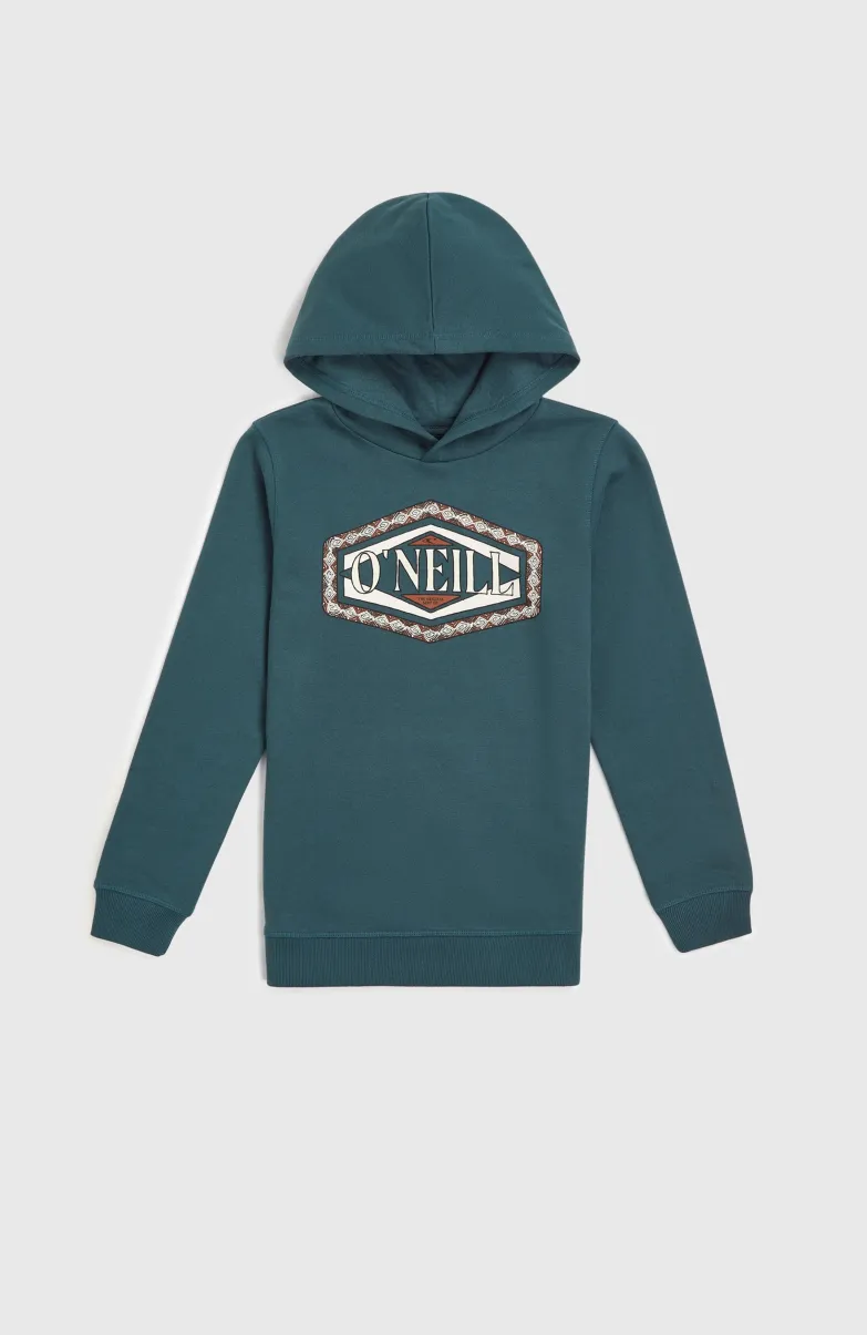 Front Print Hoodie | Alma Steel