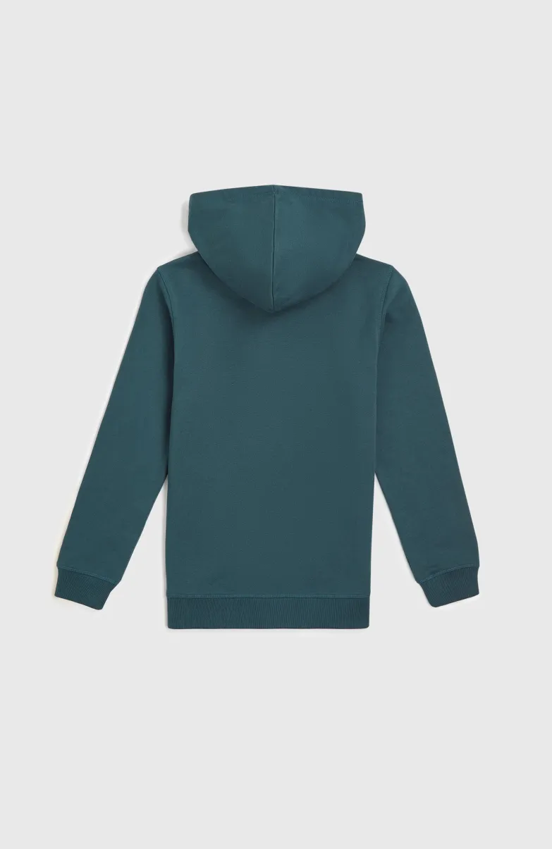 Front Print Hoodie | Alma Steel