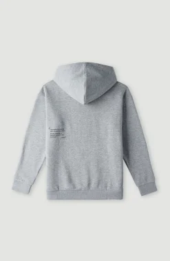 Future Surf Hoodie | Silver Melee