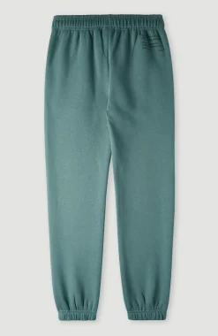 Future Surf Joggingbroek | North Atlantic
