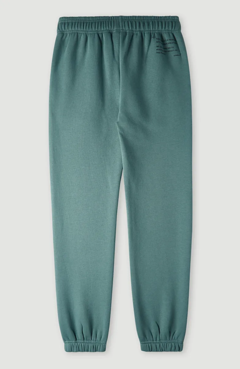 Future Surf Joggingbroek | North Atlantic