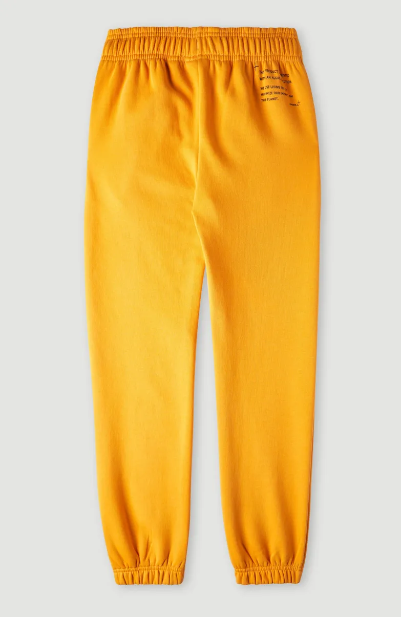 Future Surf Joggingbroek | Nugget