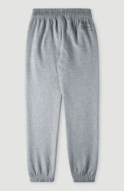 Future Surf Joggingbroek | Silver Melee