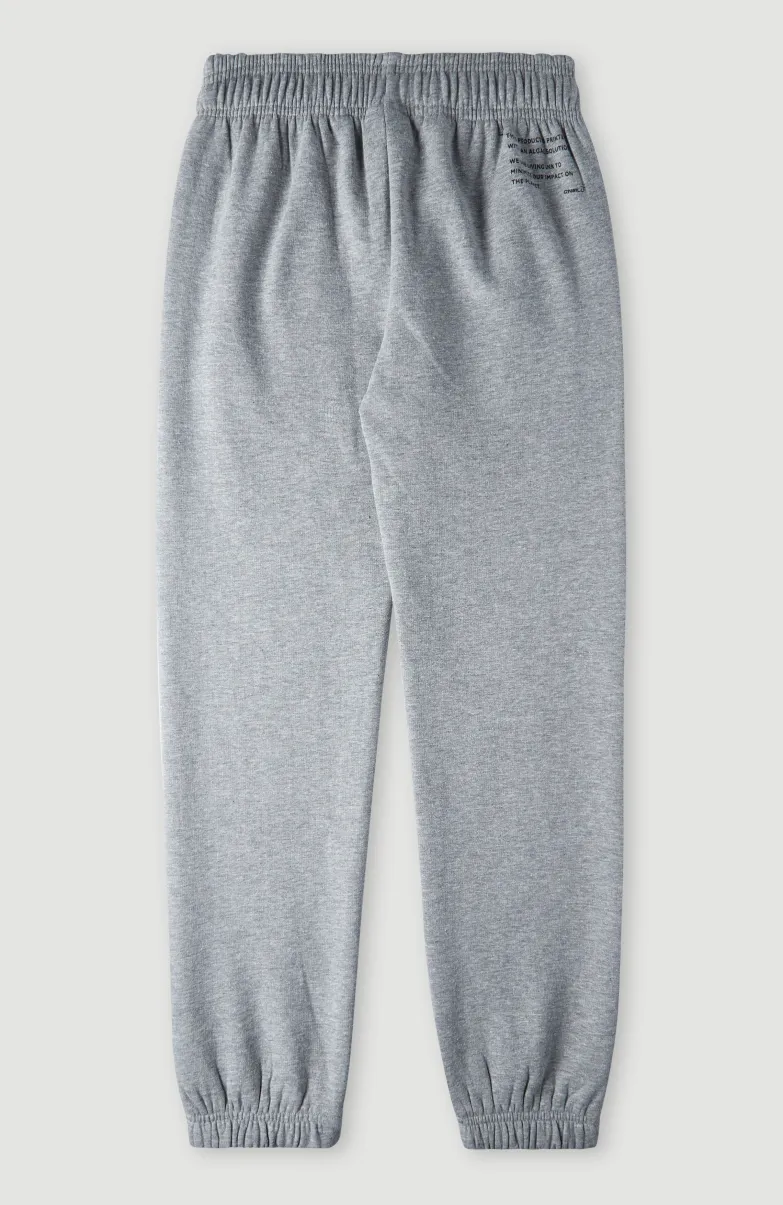 Future Surf Joggingbroek | Silver Melee