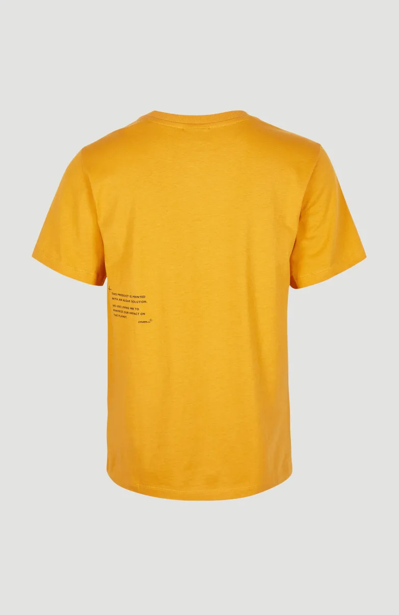 Future Surf Regular T-shirt | Nugget
