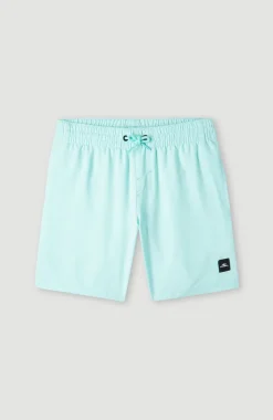 Future Surf Society 14'' Zwemshort | Beach Glass