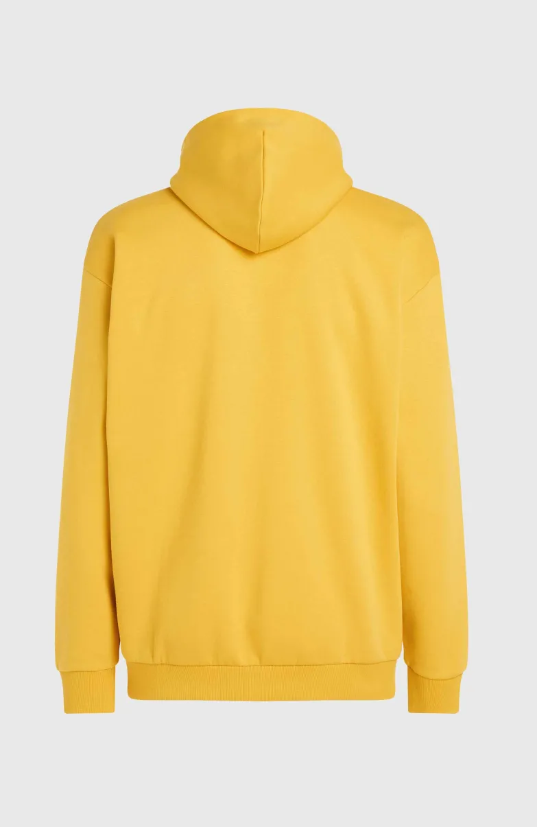 Future Surf Society Hoodie | Golden Haze