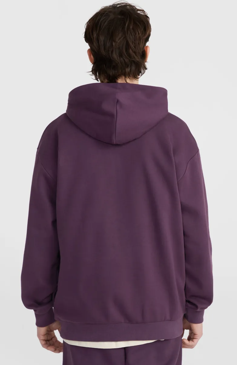 Future Surf Society Hoodie | Aubergine