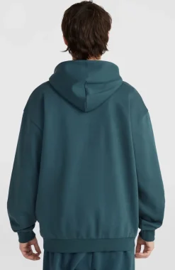 Future Surf Society Hoodie | Alma Steel