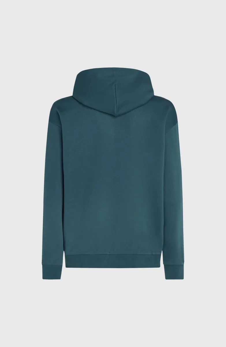 Future Surf Society Hoodie | Alma Steel