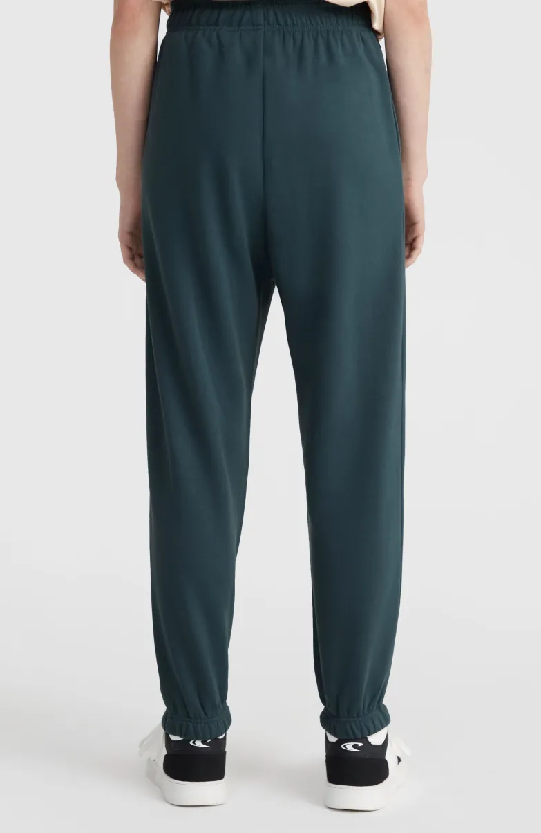 Future Surf Society Joggingbroek | Alma Steel