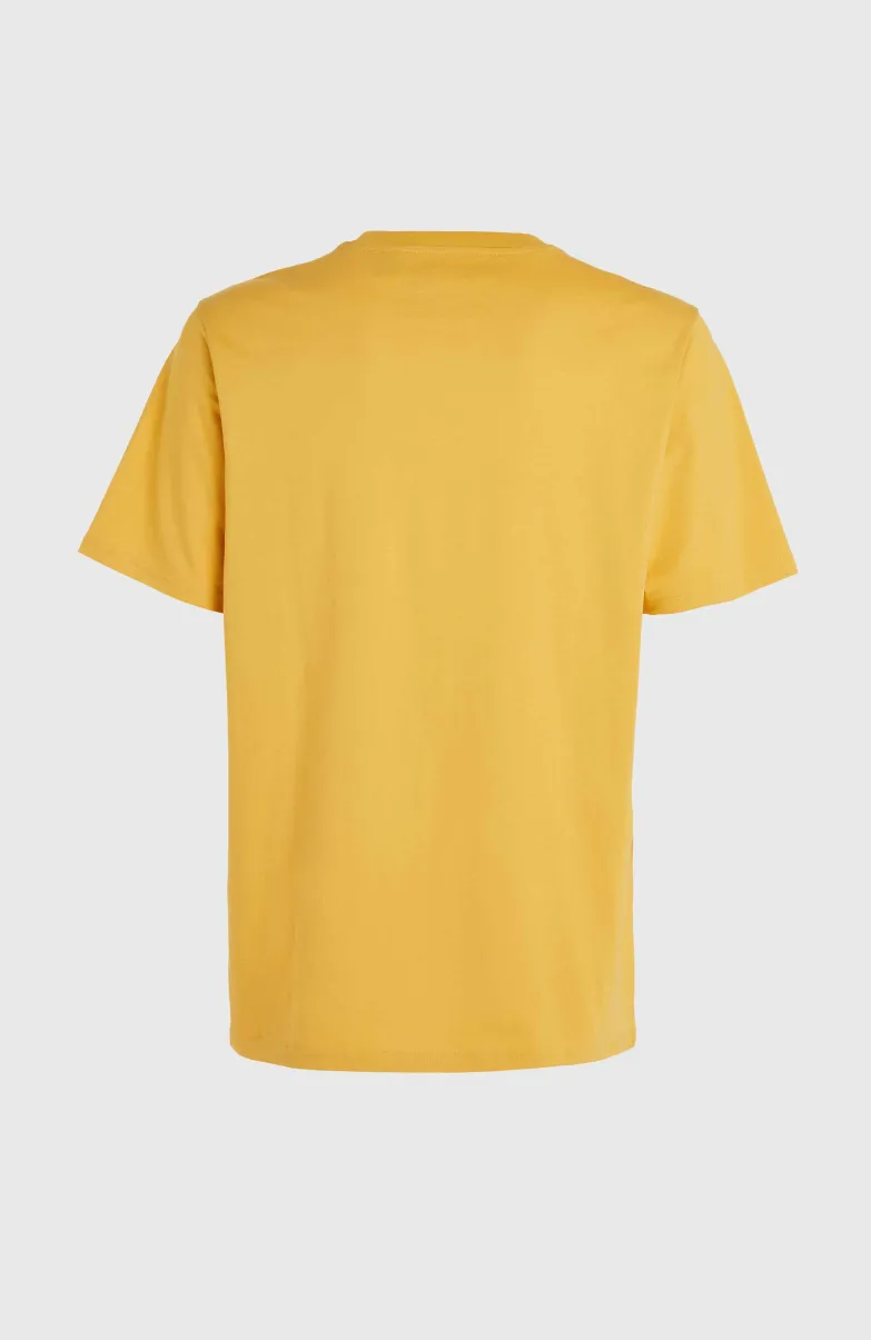 Future Surf Society T-shirt | Golden Haze
