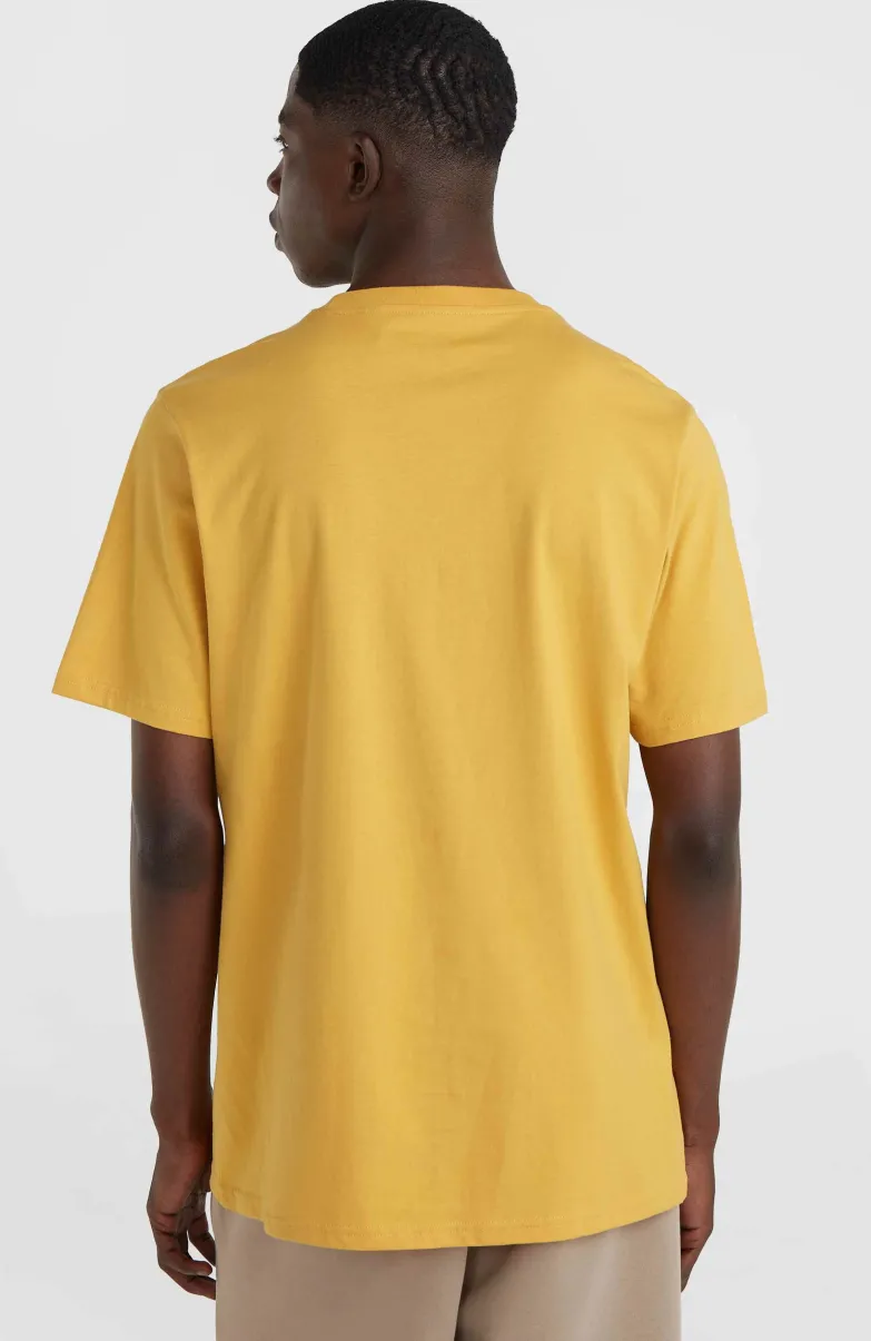 Future Surf Society T-shirt | Golden Haze