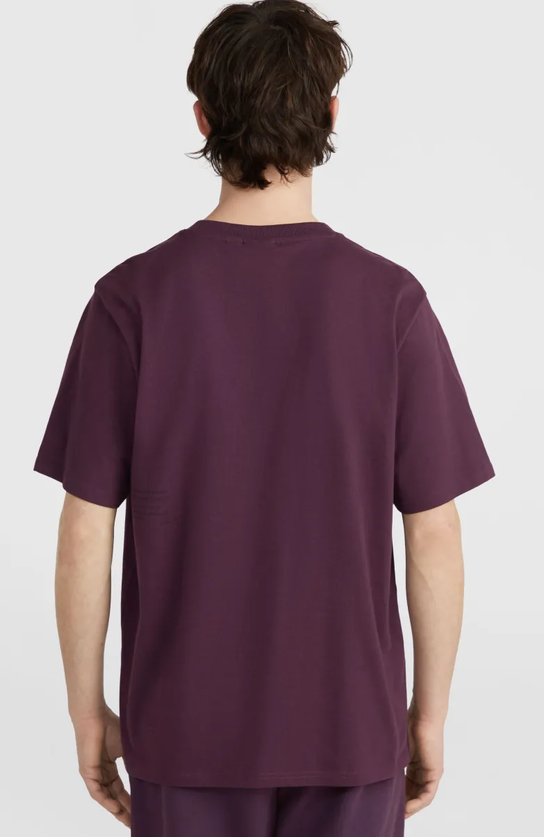 Future Surf Society T-shirt | Aubergine