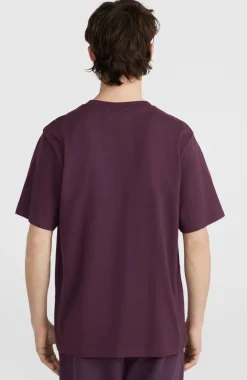 Future Surf Society T-shirt | Aubergine