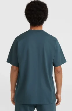 Future Surf Society T-shirt | Alma Steel