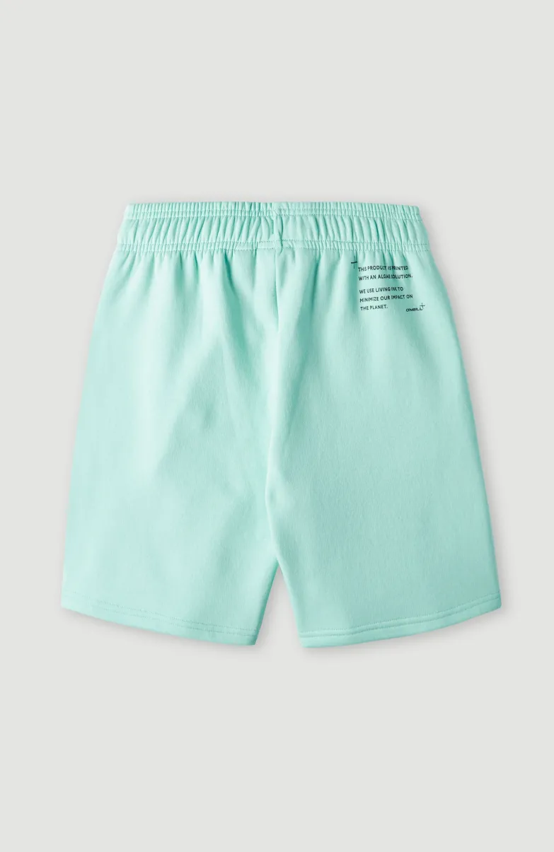 Future Surfshort | Beach Glass