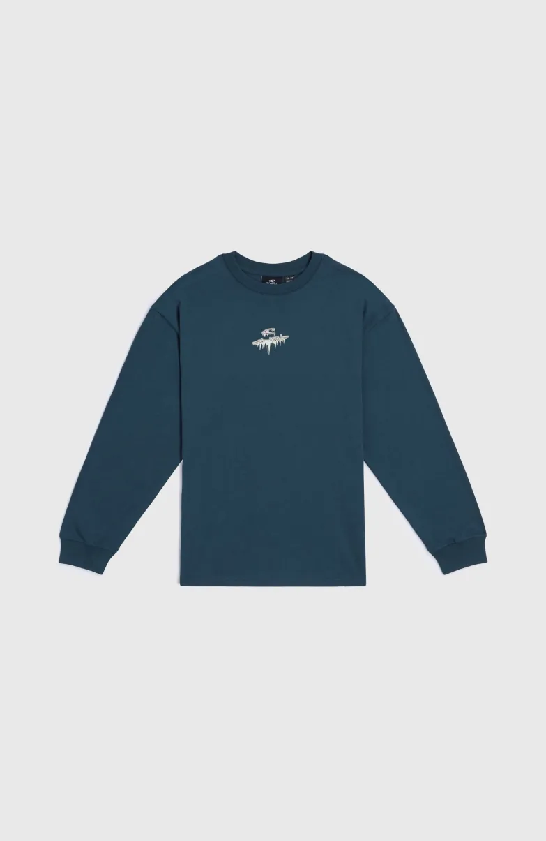 Graphic Shirt Met Lange Mouwen | Alma Steel