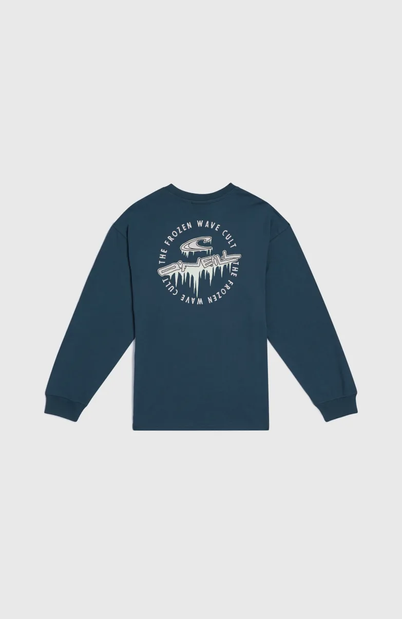 Graphic Shirt Met Lange Mouwen | Alma Steel