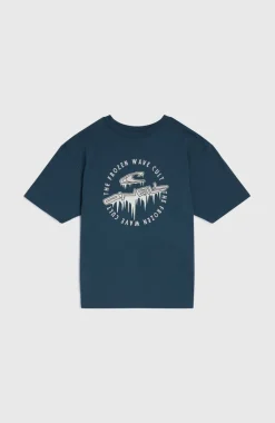 Graphic T-shirt | Alma Steel